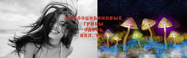 мдма Козловка