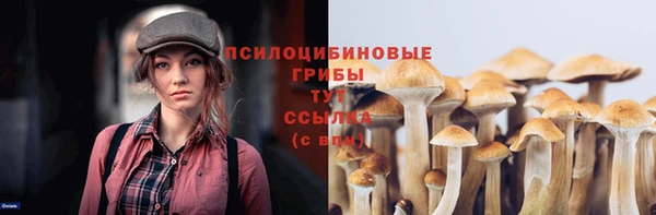 мдма Козловка